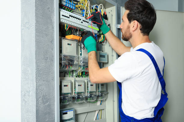 Best Home Electrical Repair  in Orangeville, UT